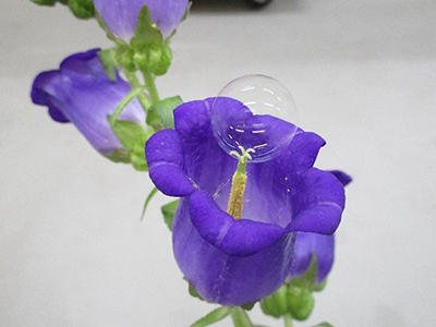 info20200618-1.jpg
