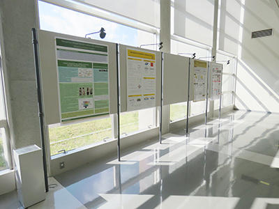 info20201102-4.jpg
