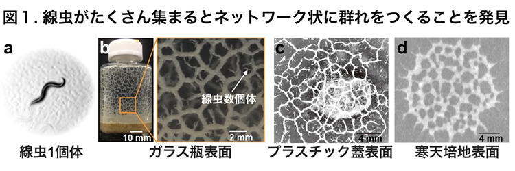 pr20190214-1.jpg