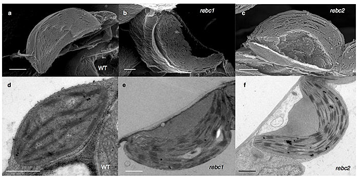 pr20200917-6.jpg