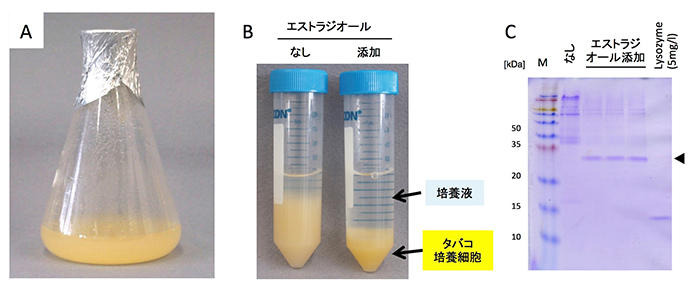 pr20201228-2.jpg