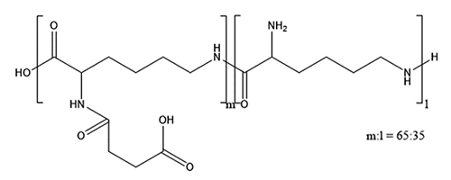 pr20210209-1.png