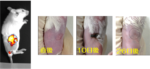 pr20211221-12.png