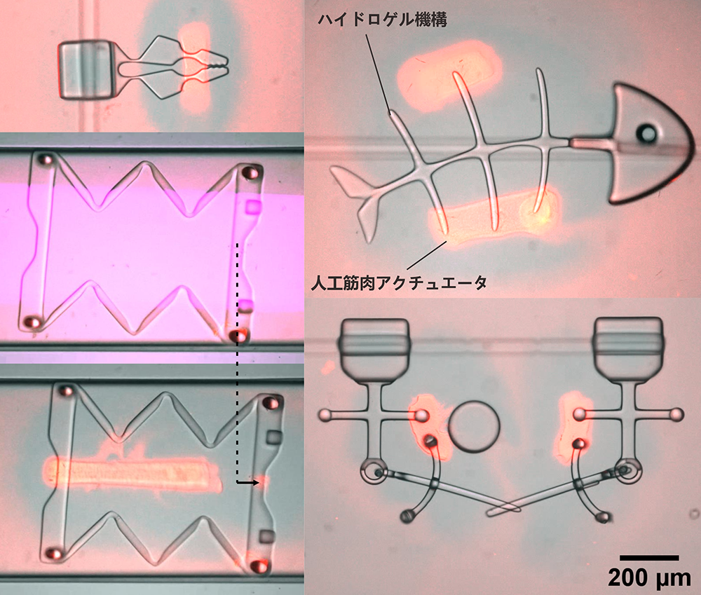 pr20220826-12.png