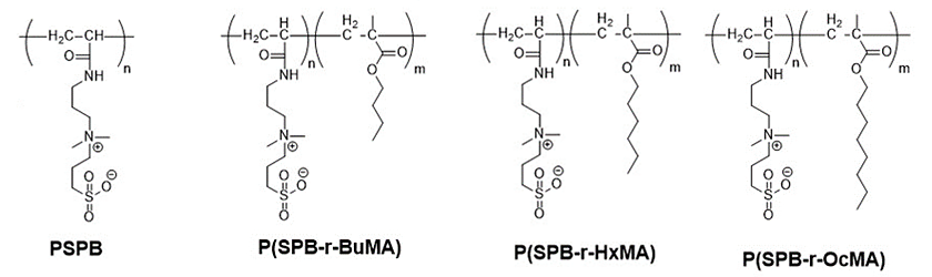 pr20240531-11.png