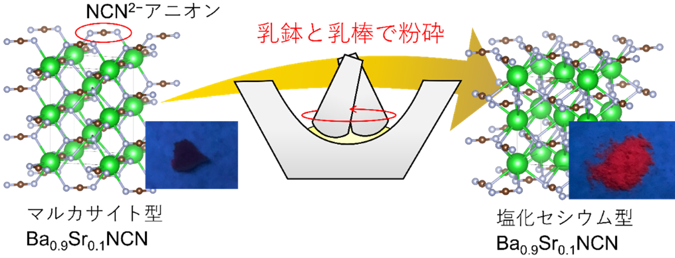 pr20250325-11.png