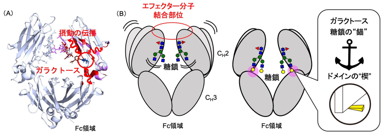 pr20250805-11.png