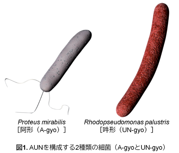 pr20250806-11.png