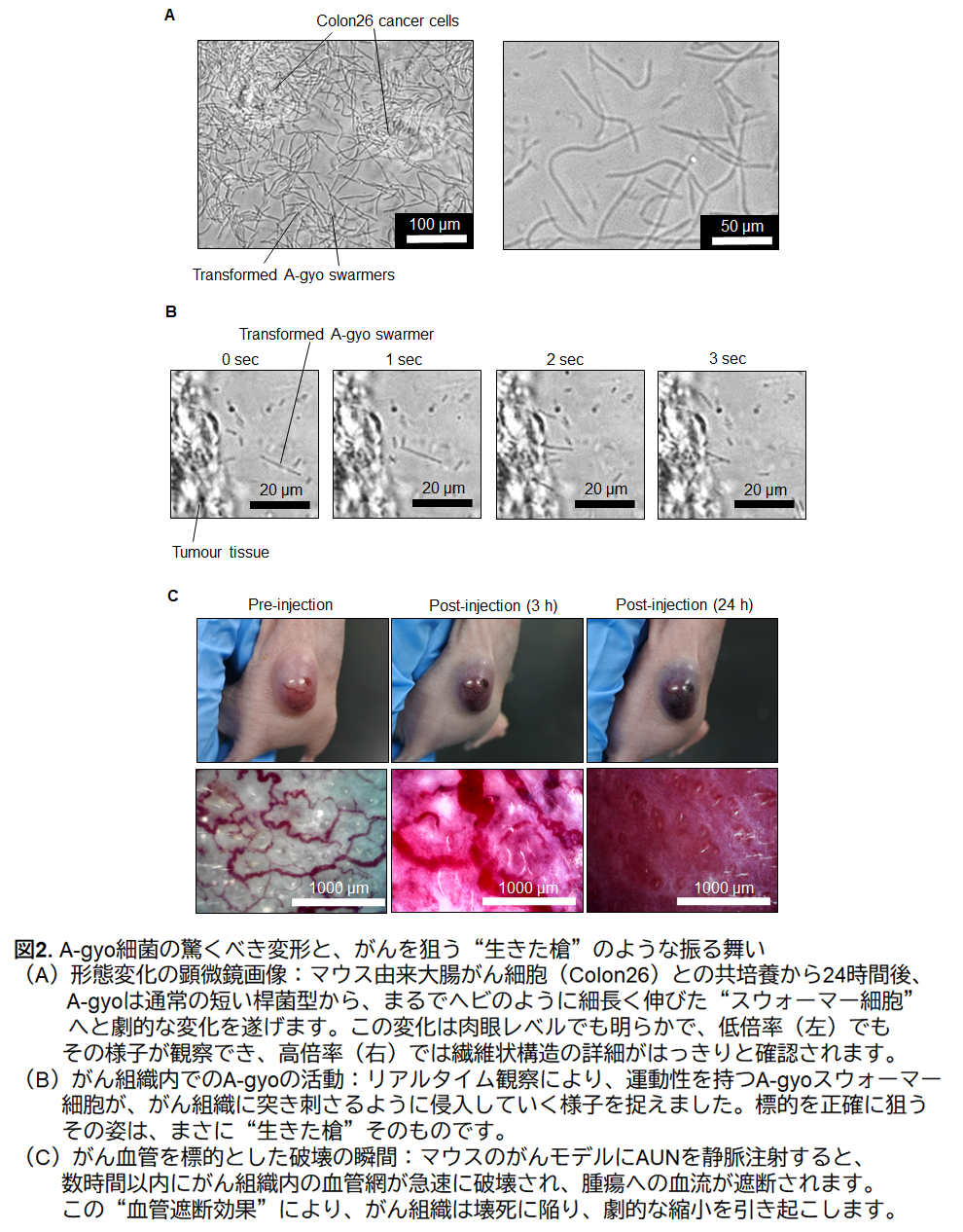 pr20250806-12.png