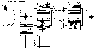 \begin{figure*}\center
\epsfile{file=FIGURE/SignalFlow2.eps,width=0.47\textwidth}
\end{figure*}