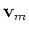 ${\bf {v}}_m$